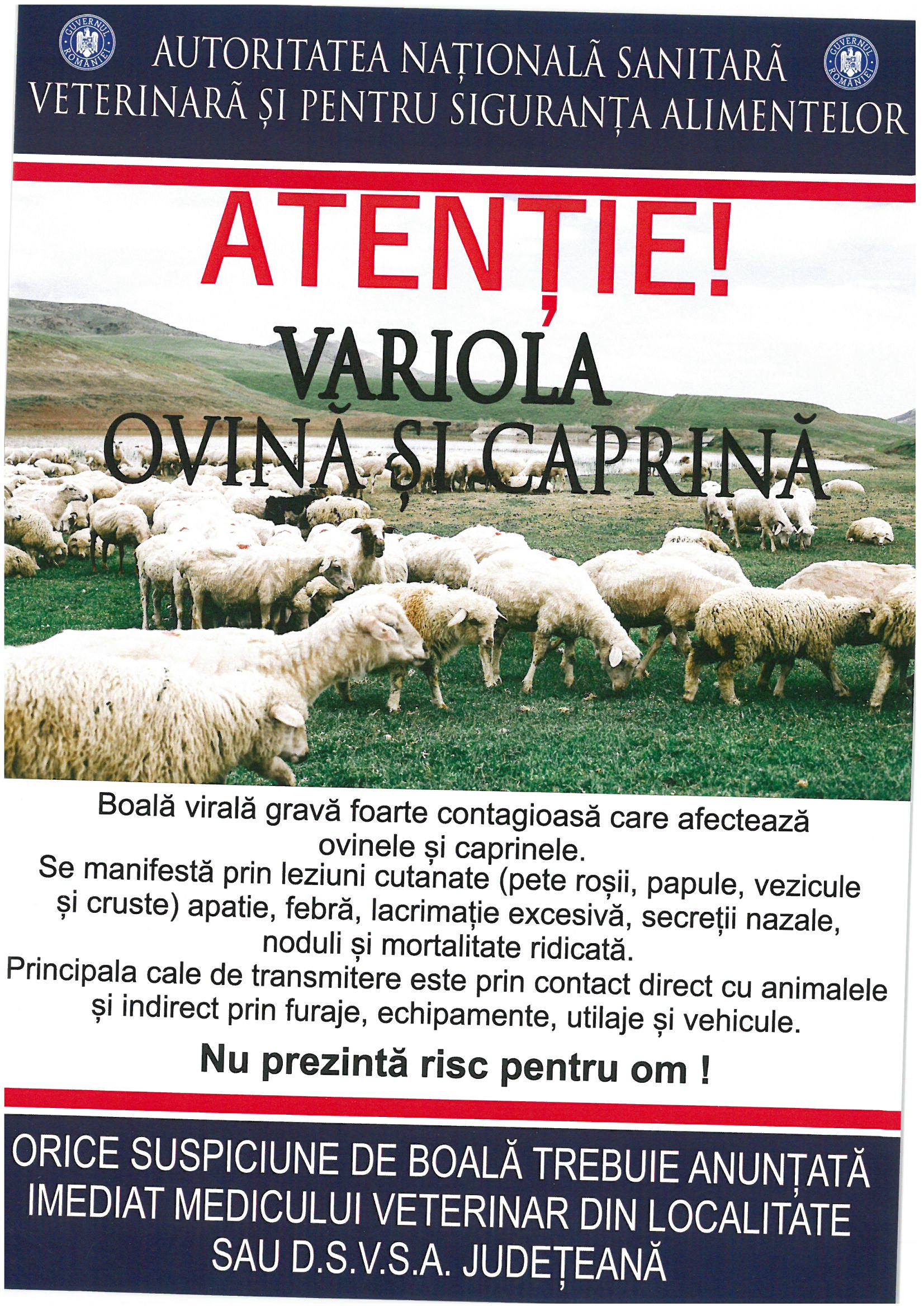 Informare- Autoritatea Națională Sanitară Veterinară și pentru Siguranța Alimentelor- variola ovină și caprină