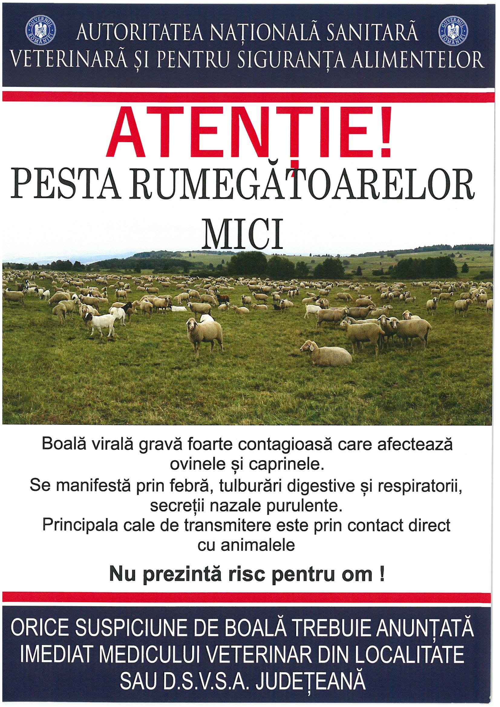 Informare- Autoritatea Națională Sanitară Veterinară și pentru Siguranța Alimentelor-pesta rumegătoarelor mici